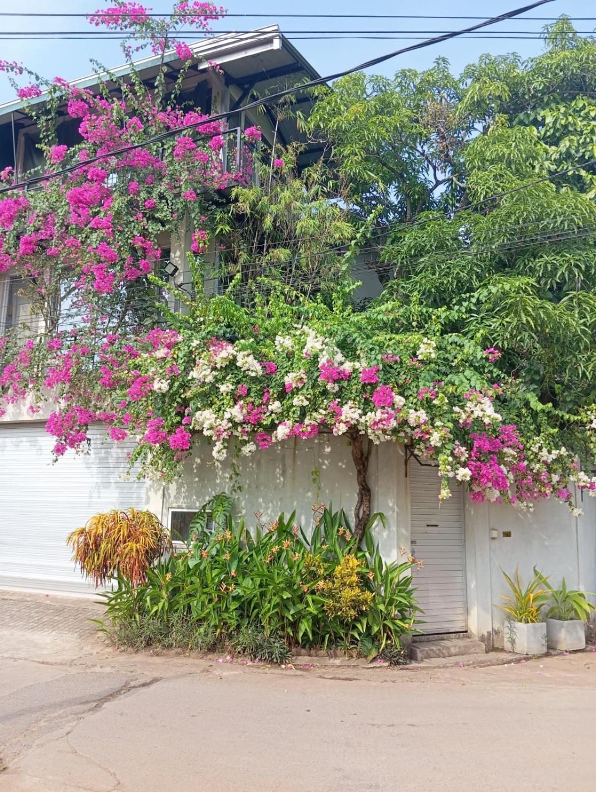 Kelaniya Heritage Exteriör bild